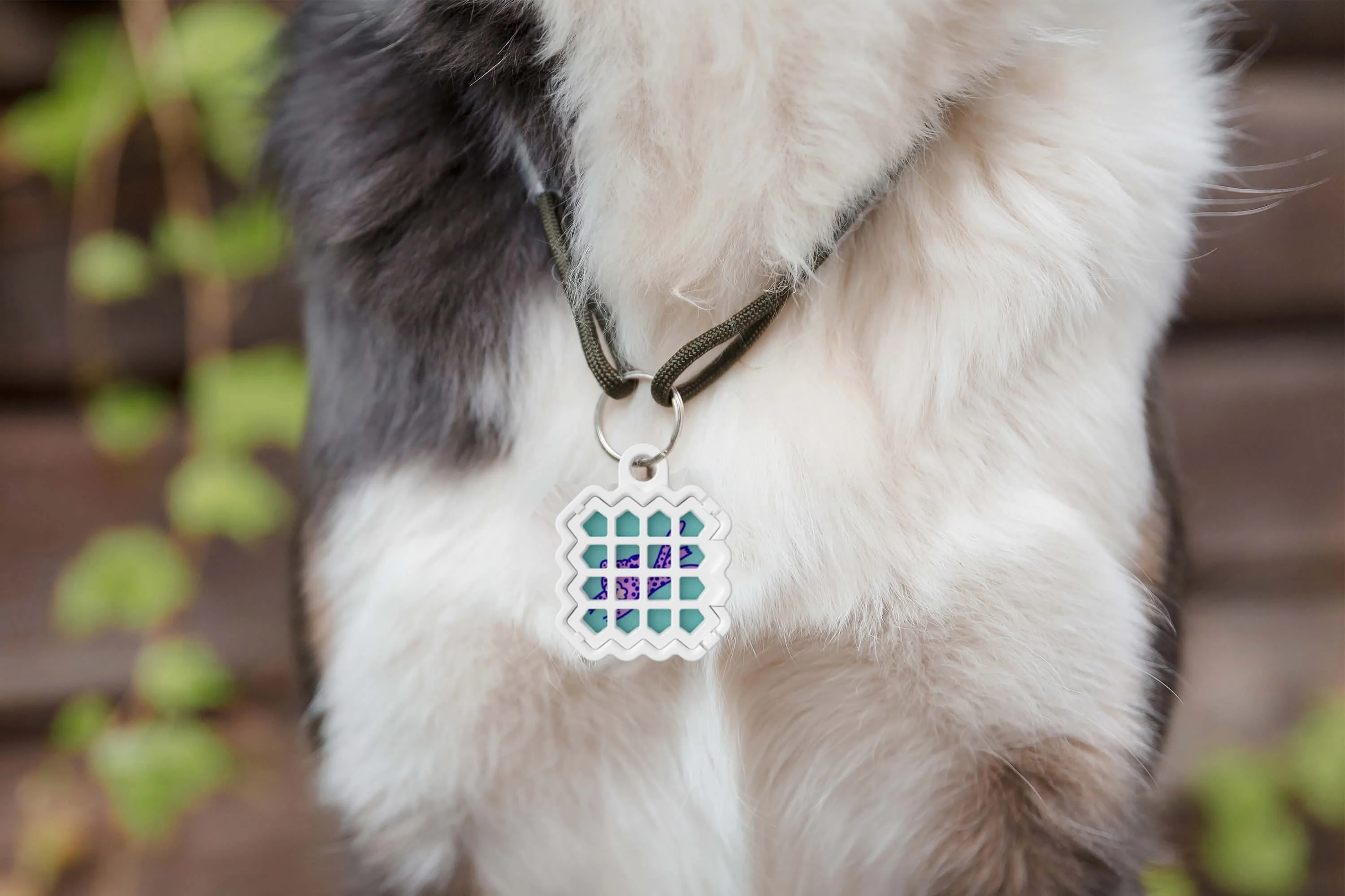 Pet Locket - Image 6